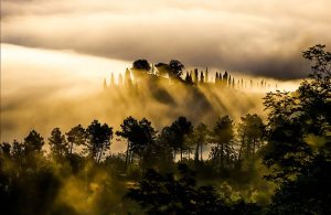 04-Foto-del-Mese-Aprile-2022-Autore-Giampiero-Nannini-Titolo-Nebbia-del-mattino-e1742461426535-300x195 Collettive UIF