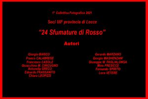 01-300x200 Collettive UIF
