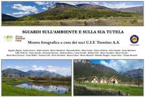 1-SGUARDI-SULLAMBIENTE-E-SULLA-SUA-TUTELA-300x200 Collettive UIF