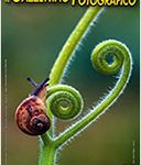 gazz6_2015-128x150 Il Gazzettino Fotografico