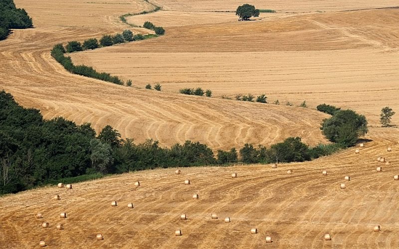 Pratesi-800x500 
