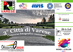 miniatura-citta-di-varese 