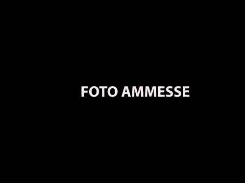 Ammesse 21° CONCORSO FOTOGRAFICO UIF-INTERNET 2024