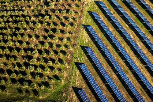 DERAMO-UMBERTO-TEMA-B-FRUTTAFOTOVOLTAICOE 21° CONCORSO FOTOGRAFICO UIF-INTERNET 2024