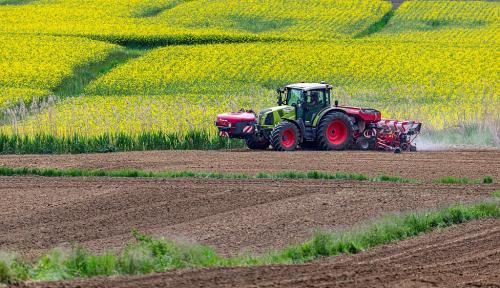 RIVA-DARIO-TEMA-B-PLOWING-IN-THE-FOG 21° CONCORSO FOTOGRAFICO UIF-INTERNET 2024