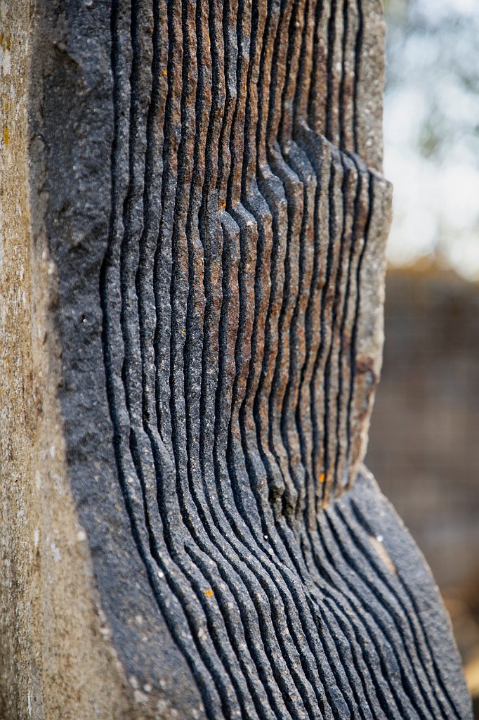 010 Alma Danièle De Silvestro