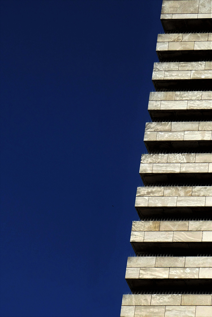 Verso-il-cielo Angela Balbi