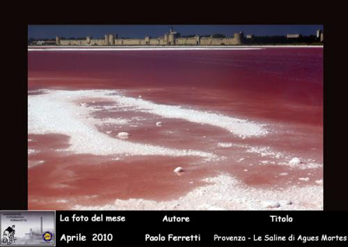 04-Foto-del-Mese-Aprile-2010-Autore-Paolo-Ferretti-Titolo-Provenza-Le-Saline-di-Agues-Mortes Associazione Fotografica Fornacette (PI)