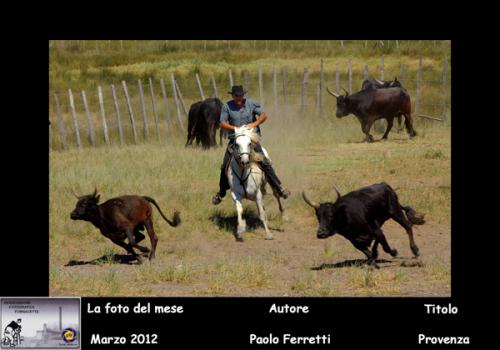 03-Foto-del-Mese-Marzo2012-Autore-Paolo-Ferretti-Titolo-PROVENZA Associazione Fotografica Fornacette (PI)