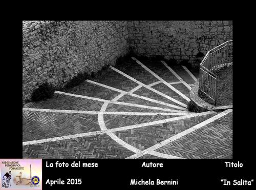 4-Foto-del-Mese-Aprile-2015-Autore-Michela-Bernini-Titolo-In-Salita Associazione Fotografica Fornacette (PI)