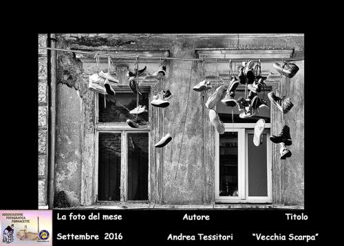 09-Foto-del-Mese-Settembre-2016-Autore-Andrea-Tessitori-Titolo-Vecchia-Scarpa Associazione Fotografica Fornacette (PI)