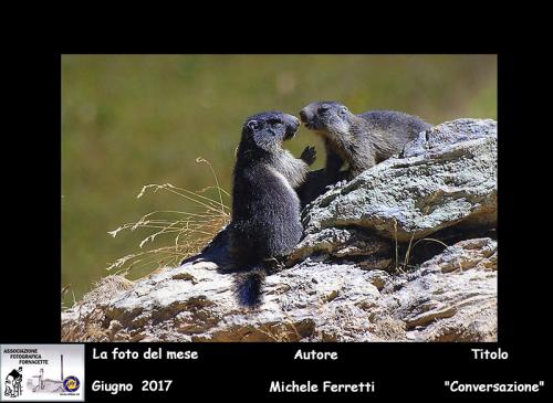 06-Foto-del-Mese-Giugno-2017-Autore-Michele-Ferretti-Titolo-Conversazione Associazione Fotografica Fornacette (PI)