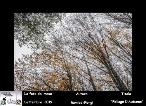 09-Foto-del-Mese-Settembre-2019-Autore-Monica-Giorgi-Titolo-Foliage-DAutunno Associazione Fotografica Fornacette (PI)