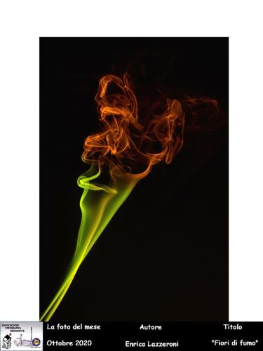 10-Foto-del-Mese-Ottobre-2020-Enrico-Lazzeroni-Titolo-Fiori-di-fumo Associazione Fotografica Fornacette (PI)