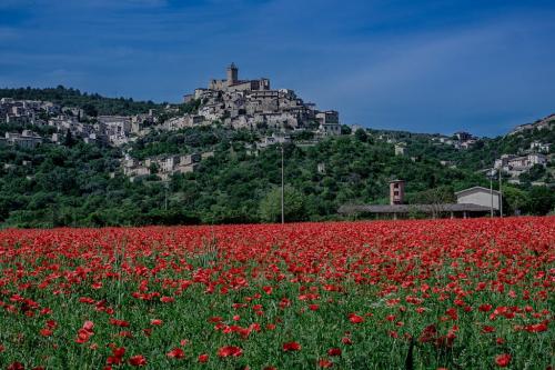 Remo-Cutella-Capestrano Collettiva soci UIF Abruzzo La Genziana