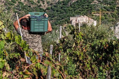 04a Collettiva soci Circolo Fata Morgana Reggio Calabria