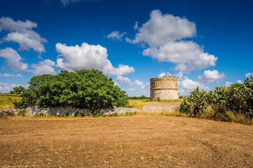 06-FRANCESCO-CASOLE-TORRE-COLOMBAIA Collettiva fotografica Autori UIF della provincia di Lecce