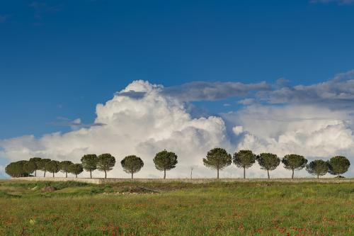 11-EDOARDO-FRASSANITO-DOPO-IL-TEMPORALE Collettiva fotografica Autori UIF della provincia di Lecce