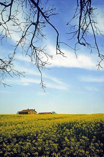 15-GIORGIO-MAGHENZANI-CAMPAGNA-ROMANA Collettiva fotografica Autori UIF della provincia di Lecce