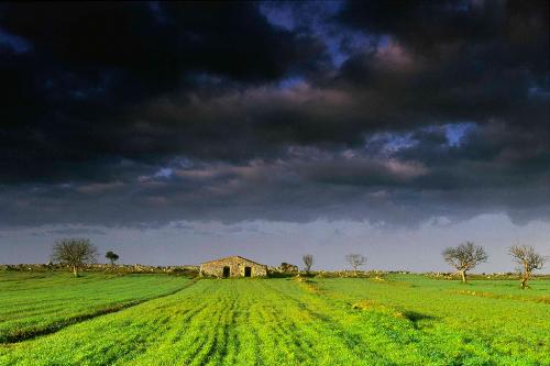 16-GIORGIO-MAGHENZANI-CAMPAGNA-SALENTINA Collettiva fotografica Autori UIF della provincia di Lecce