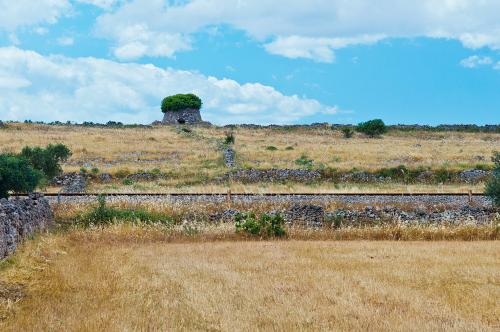 21-MINO-PRESICCE-PAESAGGIO-SALENTINO Collettiva fotografica Autori UIF della provincia di Lecce