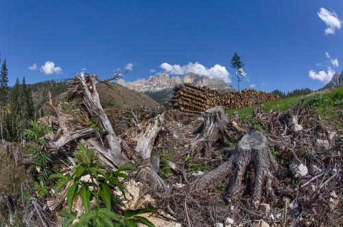 10-RENZO-MAZZOLA Collettiva fotografica Autori UIF del Trentino