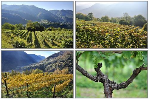 14-ATTILIO-ZONTINI Collettiva fotografica Autori UIF del Trentino