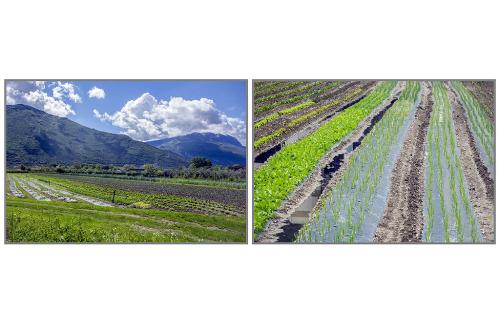 16-ELENA-ISCHIA Collettiva fotografica Autori UIF del Trentino