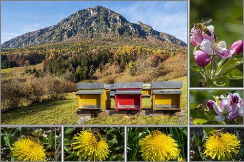 22-TIZIANA-BRUNELLI Collettiva fotografica Autori UIF del Trentino
