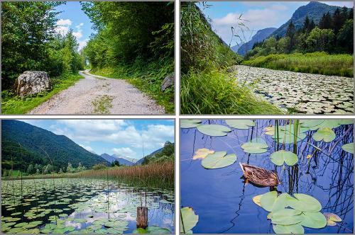 3-ASAHAR-SCORTA Collettiva fotografica Autori UIF del Trentino