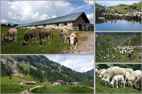 7-GIOVANNA-PASTORIS Collettiva fotografica Autori UIF del Trentino