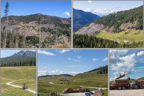 9-ENRICO-PEDROTTI Collettiva fotografica Autori UIF del Trentino
