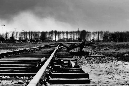 37-PITTALA-NOEMI-AUSCHWITZ-I-BINARI-DELLOLOCAUSTO Circolo Fotografico Immagine(PA)