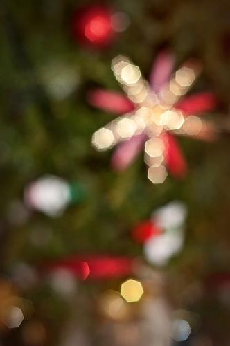 COLLURA-MARIO-BOKEH-DI-NATALE Circolo Fotografico Immagine Monreale (PA)