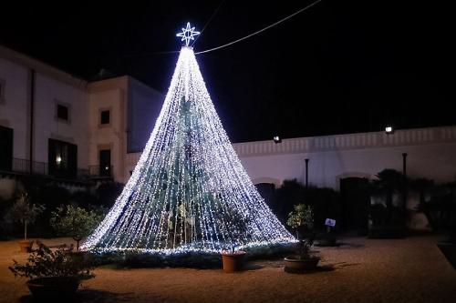 LONGO-PIETRO-ALBERO-E-LUCI-A-VILLA-NISCEMI Circolo Fotografico Immagine Monreale (PA)
