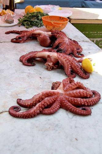DINATALE-ROSARIO-Il-Pranzo-e-Servito-Mercato-di-Ballaro Circolo Fotografico Immagine Monreale (PA)