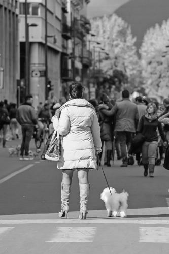 17-NICOLA-GIULIANO-PASSEGGIATA-IN-CENTRO Circolo Fotografico Immagine Monreale (PA)