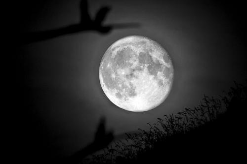 8-EZIO-DI-PRIMA-LA-DANZA-DELLA-SUPERLUNA Circolo Fotografico Immagine Monreale (PA)