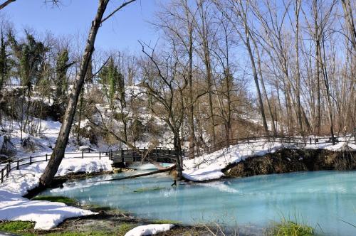 17-Rossella-Poggiali-Parco-del-Lavino Collettiva fotografica Autori La Genziana di Pescara