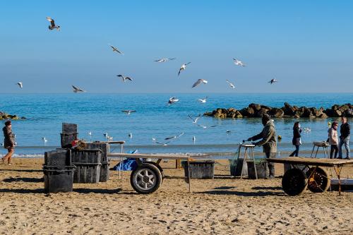 26-Remo-Cutella-Montesilvano Collettiva fotografica Autori La Genziana di Pescara