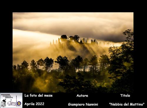 04-Foto-del-Mese-Aprile-2022-Autore-Giampiero-Nannini-Titolo-Nebbia-del-mattino Associazione Fotografica Fornacette (PI)