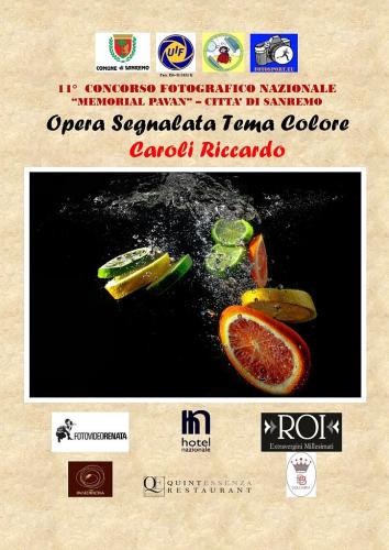 OPERA-SEGNALATA-TEMA-COLORE-CAROLI-RICCARDO 11° MEMORIAL ANGELO PAVAN - SANREMO
