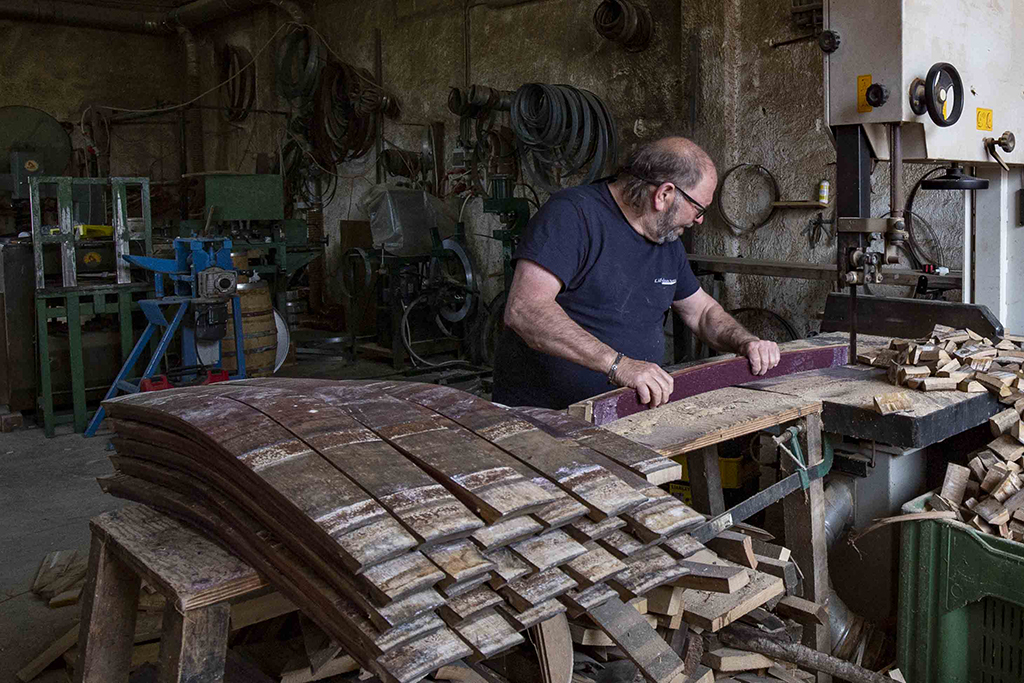 08 Filippo Ingrassia
