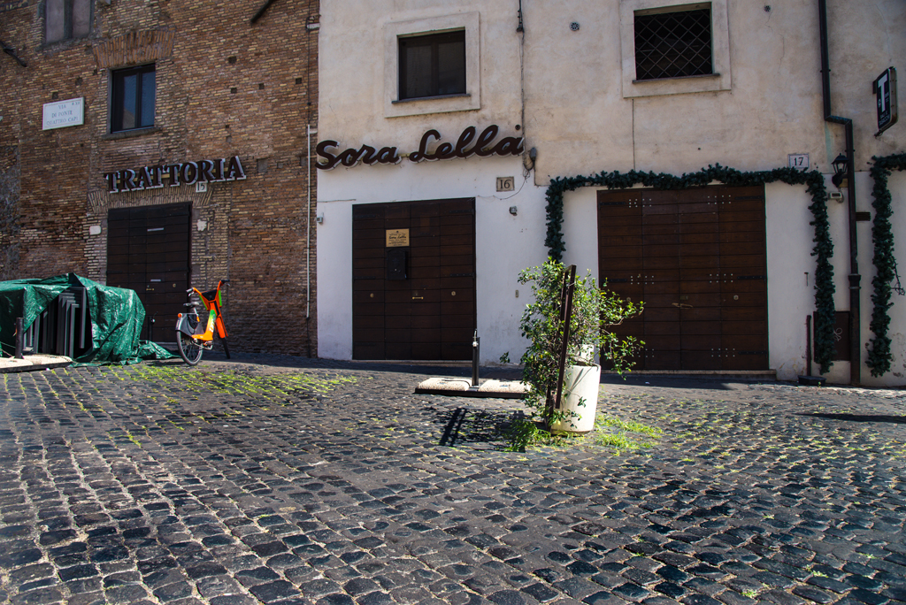 18_DSC6424 Francesco Casole