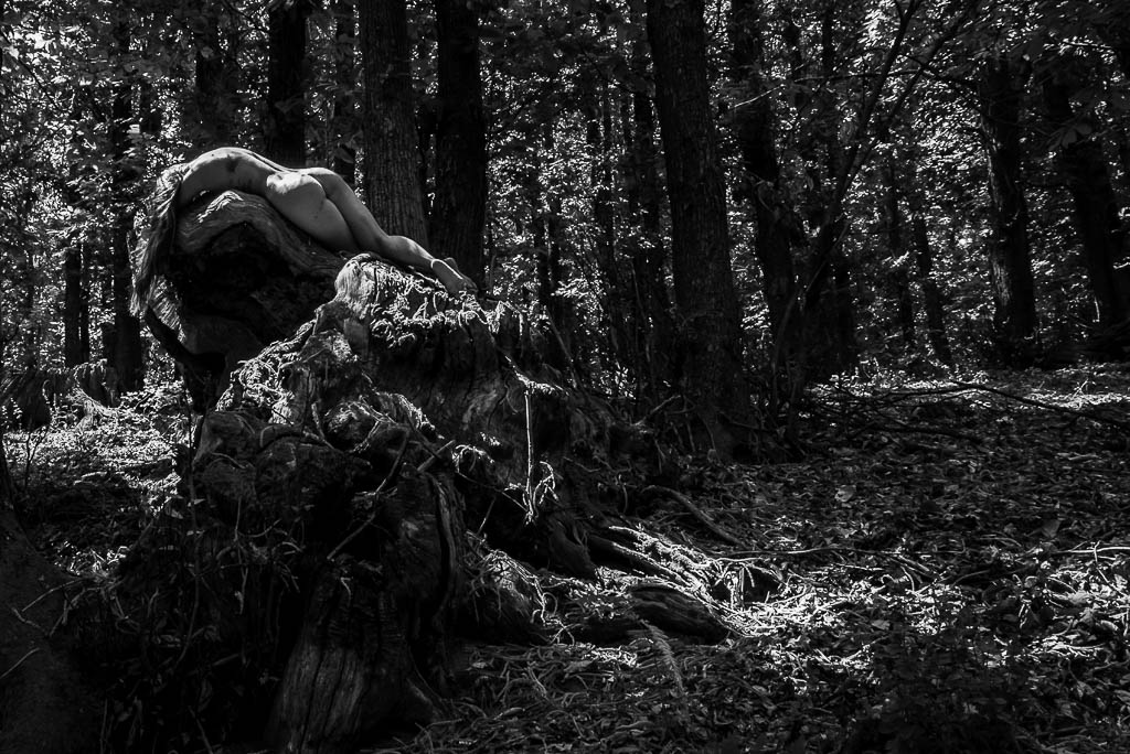 DSC_2139 Francesco Leonardis