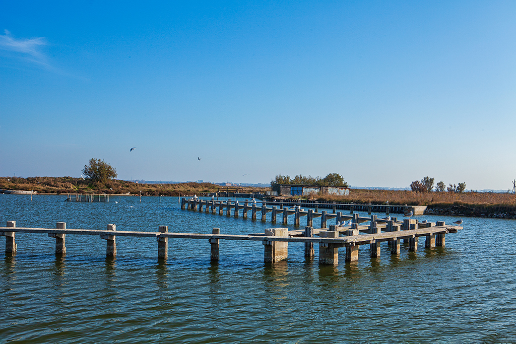 02 Comacchio, anguille e la "Manifattura dei marinati" di Francesco Paolo Ferrandello