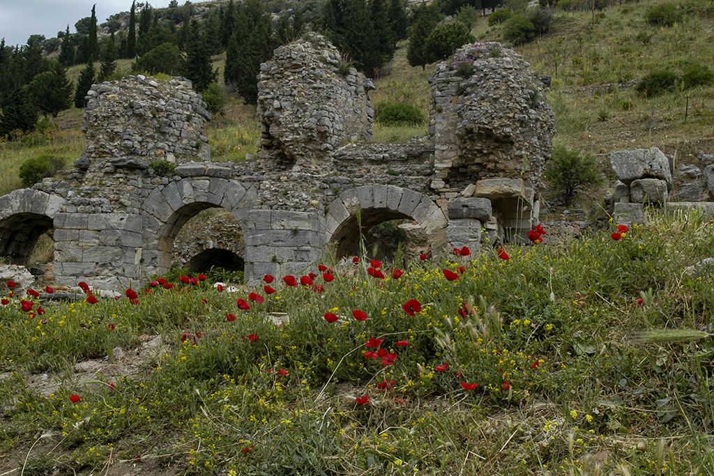 TURCHIA-EFESO-2 Ivano Santini