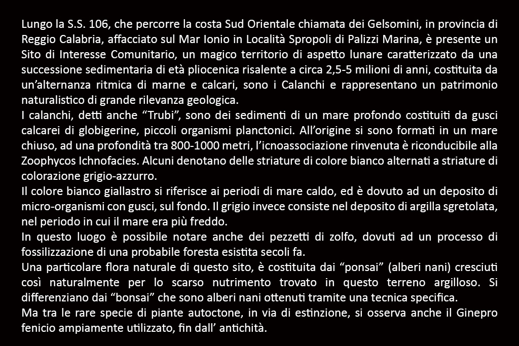 1 Francesco Laganà