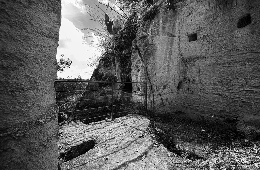 11 Francesco Laganà