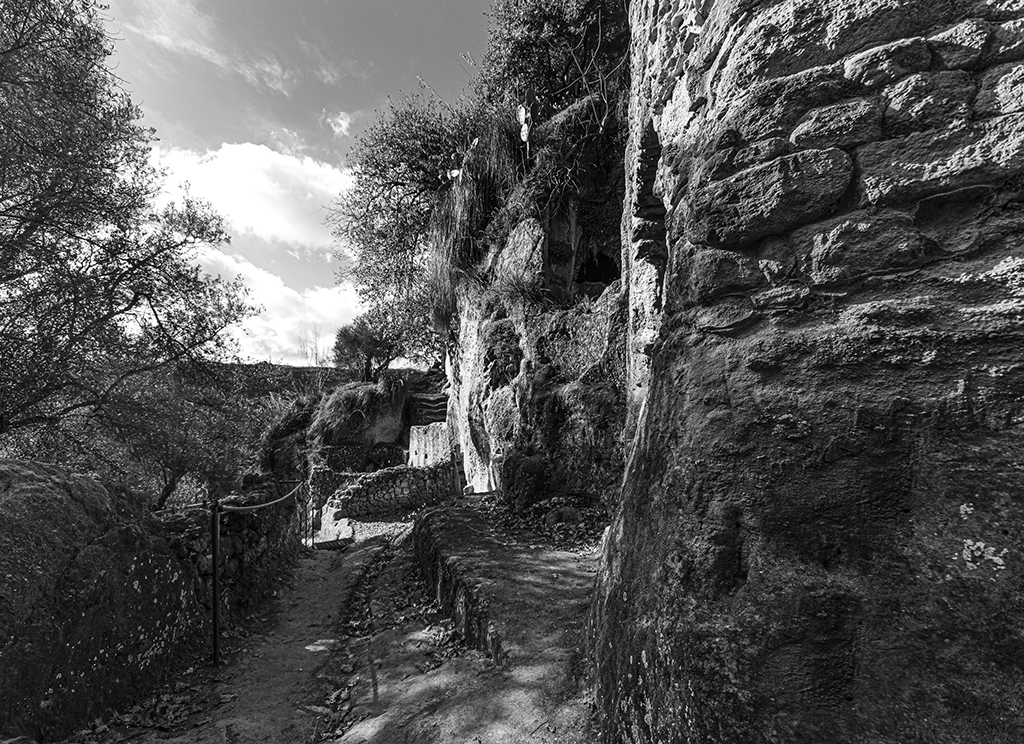 15 Francesco Laganà